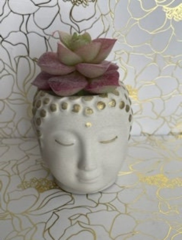 Cement Pot