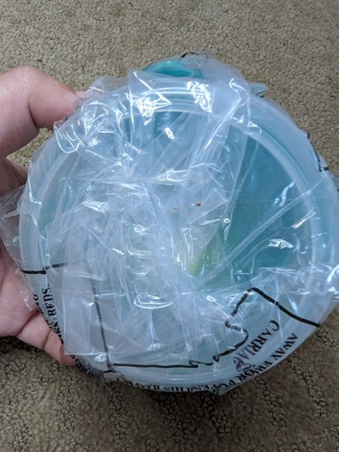 New lock & lock domed cupcake container green plastic food storage - Picture 3 of 4