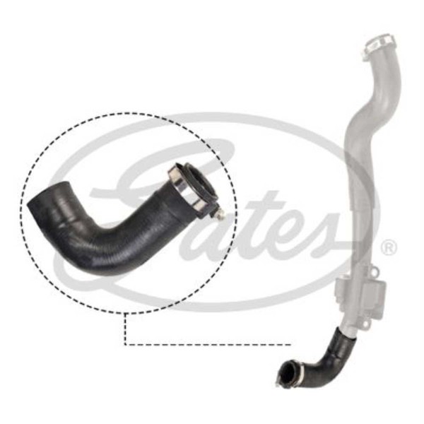 Gates Ladeluftschlauch Passend FüR Renault Kangoo Express FW0/1_ 1.5 Dci-image
