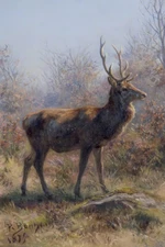The Stag 1899 by Rosa Bonheur Museum Giclee Art Print Ships Free