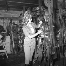 1950s Negative-sexy pinup girl Patty Dudley-horse stables-cheesecake t459793