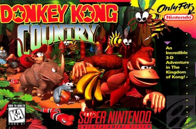 Donkey Kong Country SNES BOX ART Premium POSTER MADE IN USA - DKY004