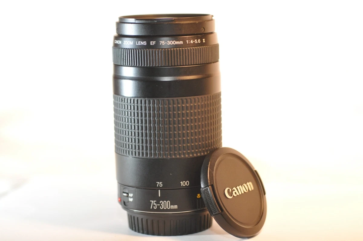 Canon EF 75-300mm Camera Lenses for sale | eBay