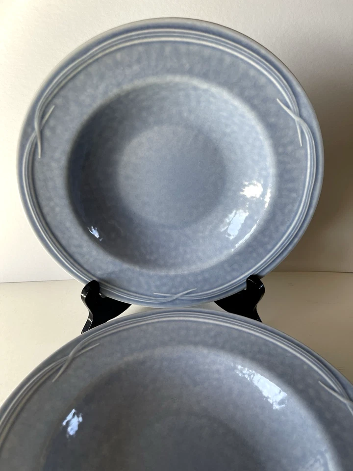 "Juego de 4 cuencos de sopa o pasta de borde ancho de surf Pfaltzgraff Blue Water's Edge de 10""" Foto 2 de 4