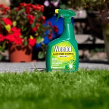 Weedol Lawn Weedkiller 800ml