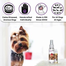 Yorkshire Terrier Relax Aromatherapy Calm Your Anxious Scared Yorkie Naturally