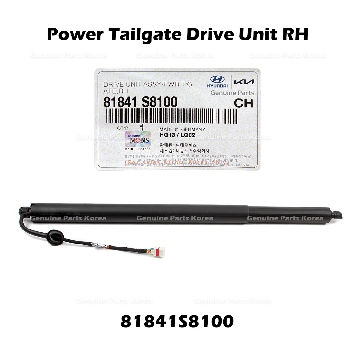 ⭐Genuine⭐ Power Tailgate Drive Unit RH 81841S8100 for Hyundai