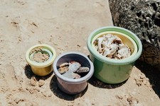 Plasto "I Am Green" Stacking Cups