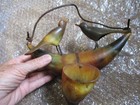 Vintage Hand made Taxidermy Horns Bird Feeder Ready to Hang! Very Nice! — photo 4