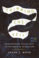 Thinning The Veil Encountering Jesus Christ In The Book Of Revelation Wood Buch