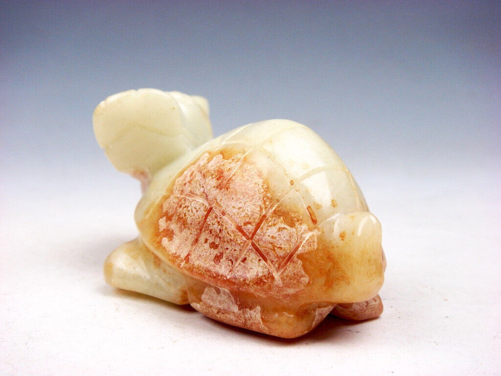 Foto 2 di 6