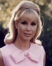 ‘Barbara Eden’ 8X10 Vintage Photo “I Dream Of Jeannie” 8X10 Glossy “STUNNING!”