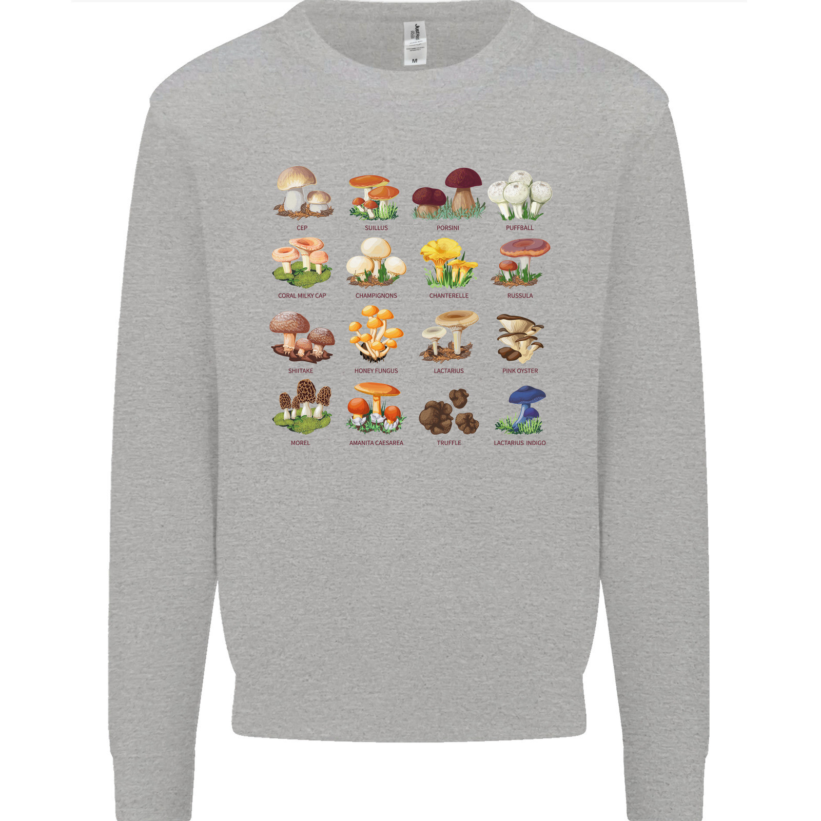 Sudadera Para Hombre De Especies De Setas