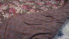 Bild 3 von 8