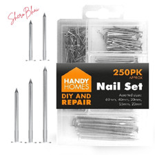 Image of Assorted Flat Head Wood Nails Carpentry Professional Metal Pins Various Use