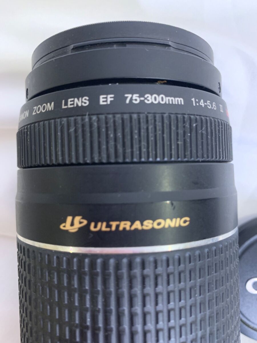 Canon 75-300 Ultasonic 4-5.6 with both caps. | eBay Canon 75-300 Ultasonic 4-5.6 with both caps. | eBay