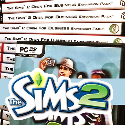 Die Sims 2 Erweiterungspack PC CD Einzelne Zusatzpakete Posten Multibuy