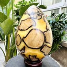 Picture 9 of 20