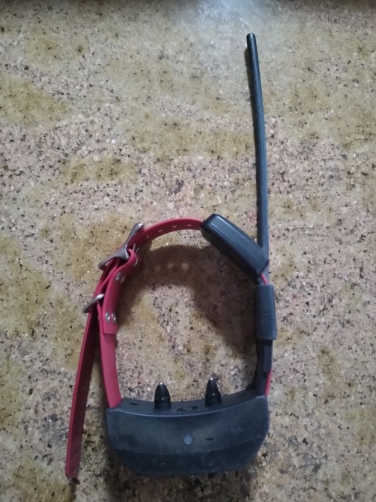 SportDog Tek 2.0 GPS TrainerTracker Collar and accessories eBay