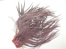 Saddle Grizzly gefärbt PINK Cascade USA What...