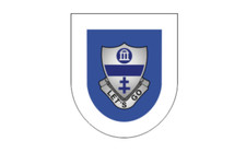 4" 325th airborne infantry regiment blue army bumper sticker decal usa made