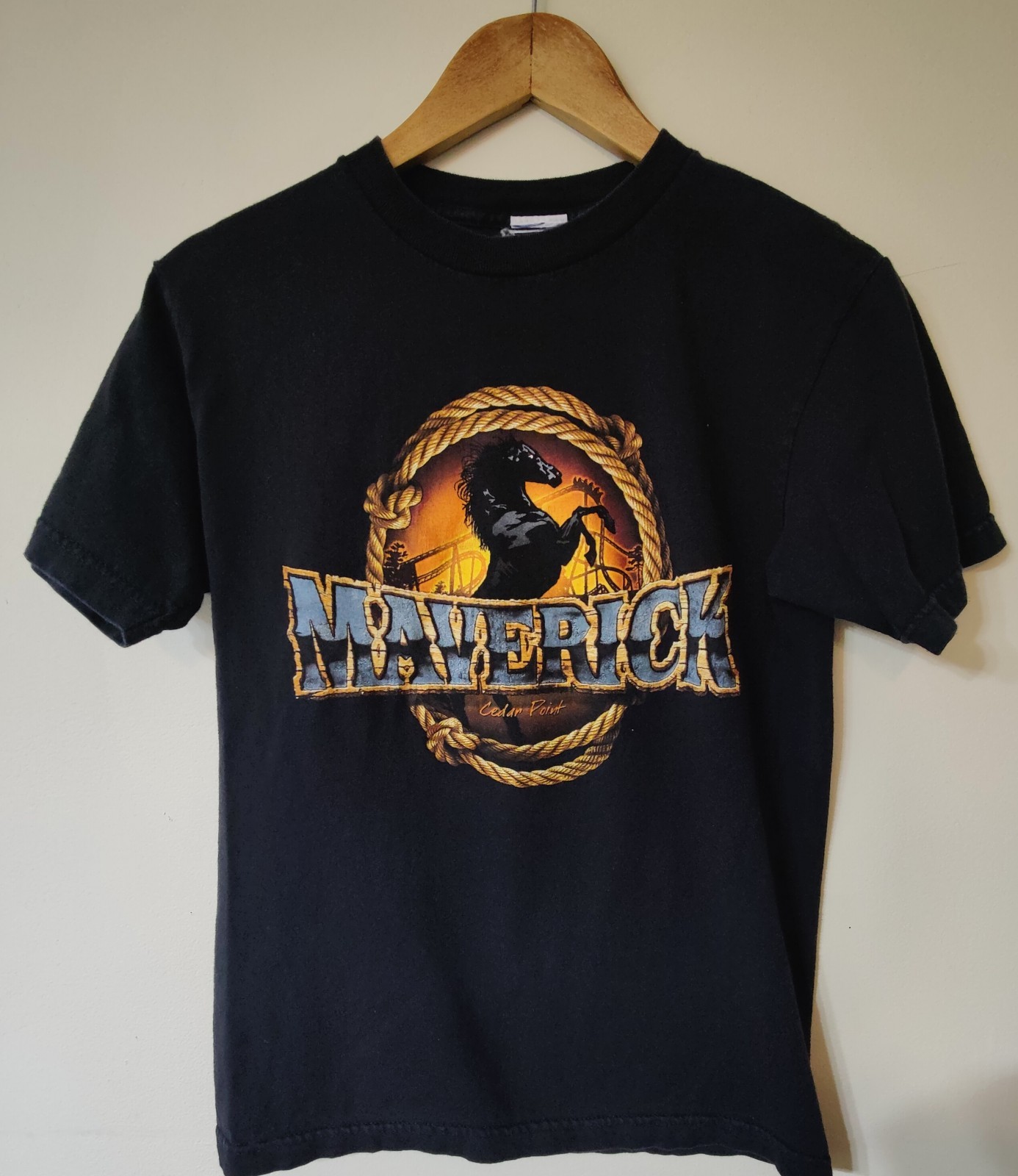 Maverick Rollercoaster Cedar Point Theme Park Y2K… - image 1