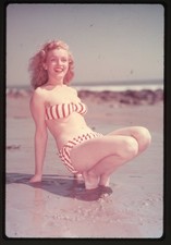 Marilyn Monroe 1947 Laszlo Willinger Bikini Photo Shoot Vintage Dup Transparency