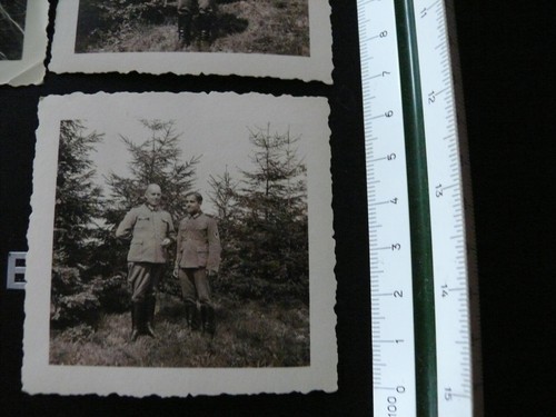 6 Wehrmachtsfotos SB Abt.555 Leningrad - Bild 3 von 3