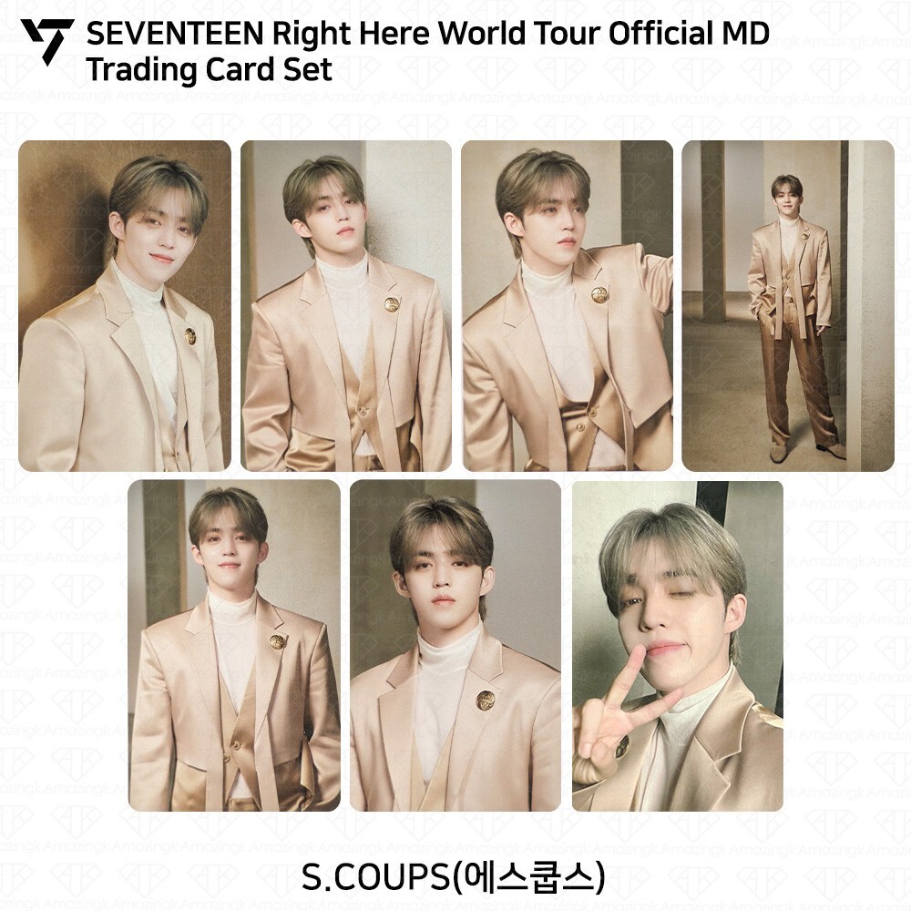 SEVENTEEN Right Here World Tour Official MD Trading Card Set