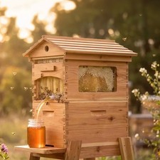 Flow Hive 2 Complete Beehive Kit Honey on Tap 7 Frame Cedar Beekeeping Starter