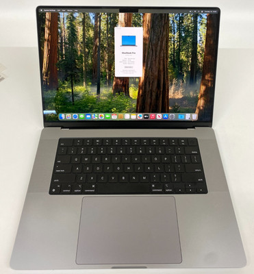 Apple MacBook Pro A2485 16,2'' M1 MAX 32GB RAM 1TB SSD Grade C US 429 Zyklen