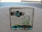 Foto 7 di 9