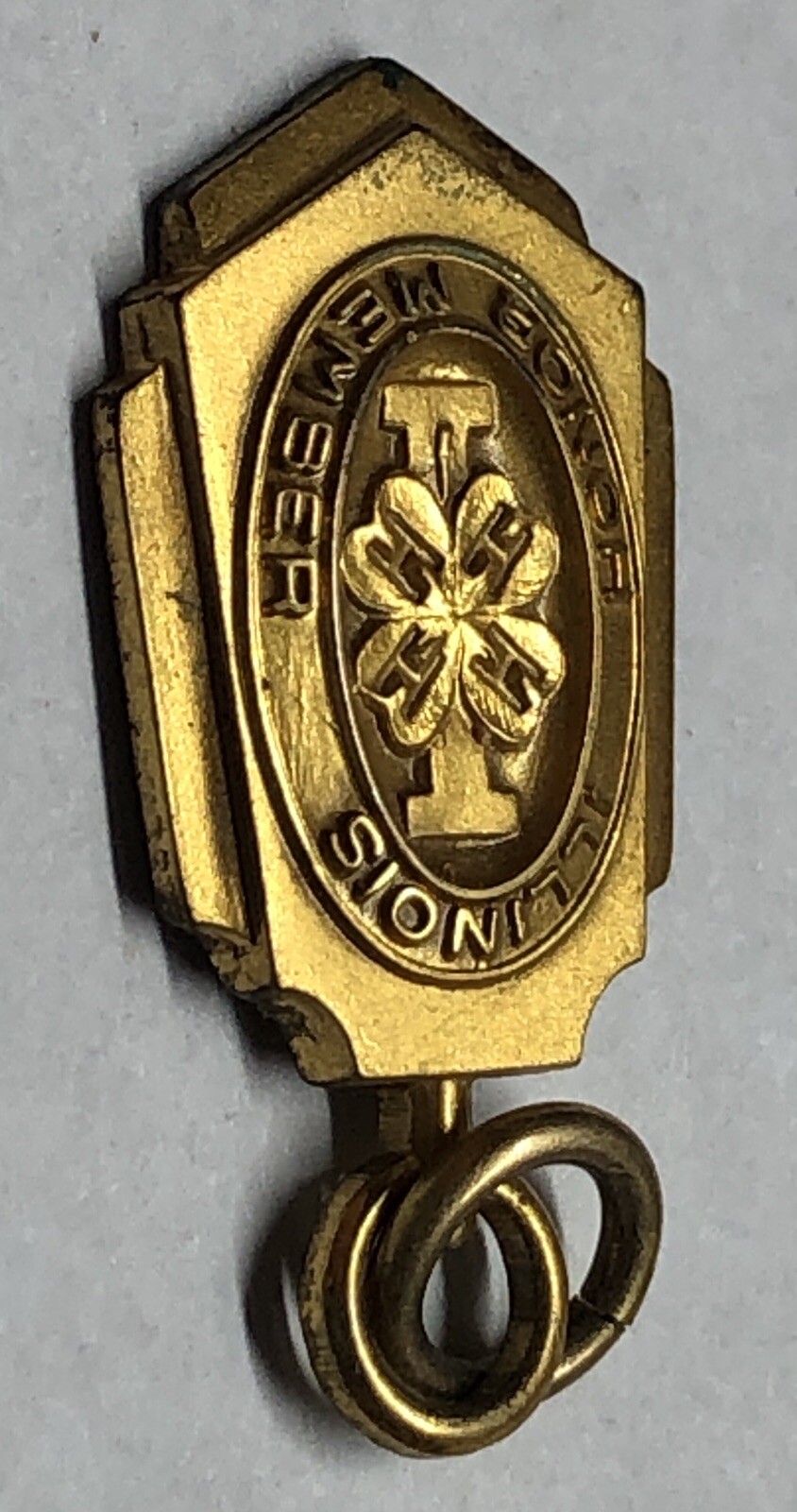 Picture 7 of 10