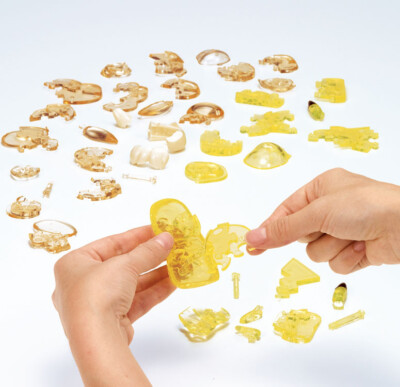 Crystal 3D Puzzle Pokemon Pikachu & Eevee 48 Pieces BEVERLY 50247