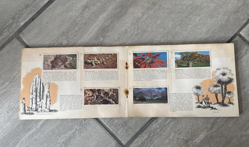 Lyons Tea Australia Cards and Album Complete Set Commonwealth Series - Image 3 of 4