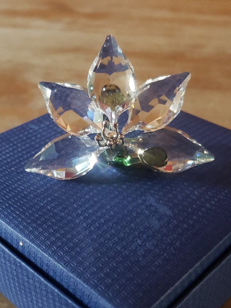 スワロフスキー SCS 2013 ヤングエレファント （Swarovski SCS