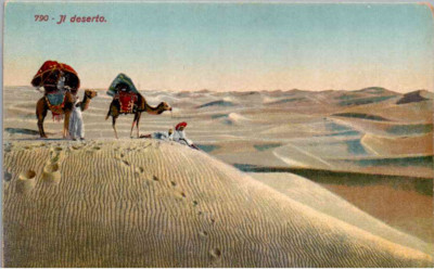 Arabic - Traveling the desert on camels - c1908