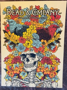 Dead and Company Vip | eBay
