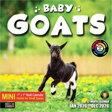 Baby Goats 2026 Mini Wall Calendar 12 Month | 7" X 14" Open | Thick & Sturdy Pap