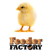 Frozen Feeder Chicks - Pack of 25 - SAVE ON SHIPPING WITH MULTIPLE PACKS!