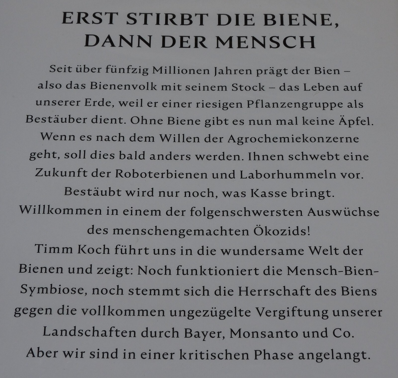 Bild 4 von 4