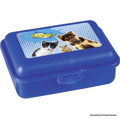 BRUNNEN Brotdose 5-farbig - 15,5x11x5,3 Cm Mit Trennsteg, Spülmaschinengeeignet