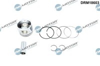Dr.Motor Automotive Kolben U.A. FüR Nissan, Opel, Renault, Vauxhall