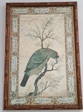 A Barbet Himalayan blue throated bird by Uskad Mansur 33 x 23 cm