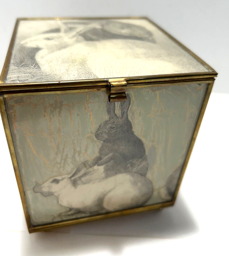 Estuche con tapa de vidrio y latón Bunny Rabbits colección Katherines Tailandia - Imagen 7 de 14