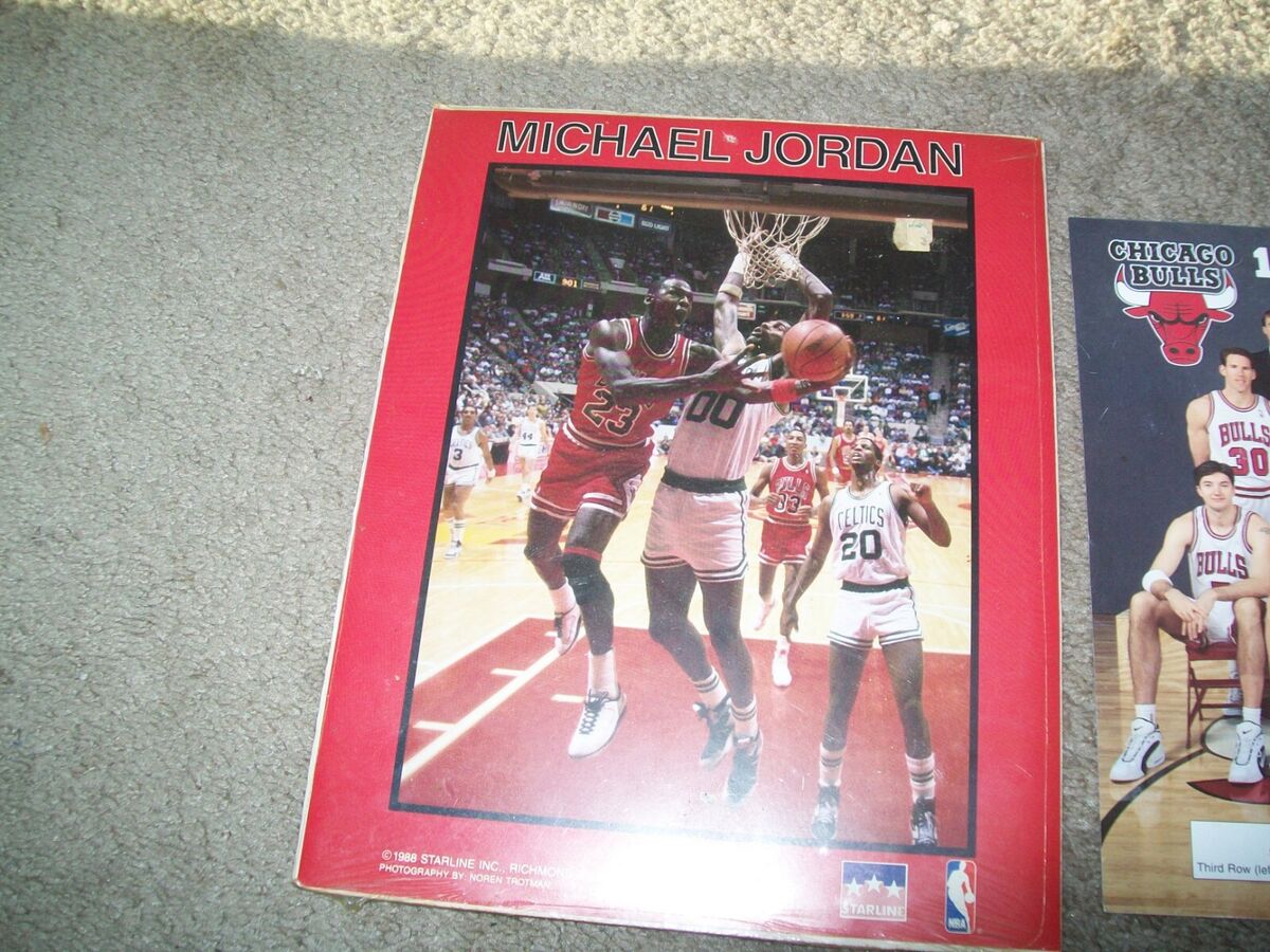 NBA 1995 - 96 Chicago Bulls Team Picture Color 8 X 10 NBA 1995 - 96 Chicago Bulls Team Picture Color 8 X 10