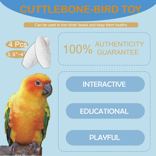 3.5"-4" Cuttlebone for Birds Parakeets, Cuddle Bone with Metal Holder, Cuttlefis - Picture 3 of 6