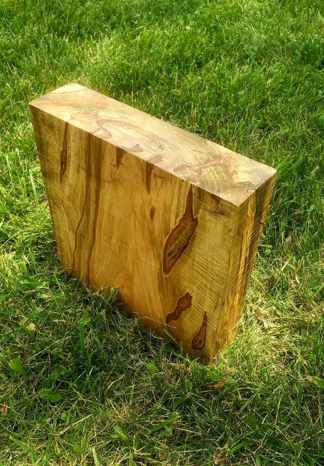 1) 10"x10"x3" Amberosia Arce Torneado Blancos Bloque de Madera Grueso Ensaladera Talla Foto 3 de 4