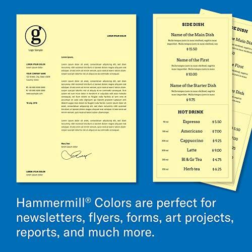 Hammermill Colored Paper, 20 lb Blue Printer Assorted Styles , Sizes , Colors - Picture 40 of 72