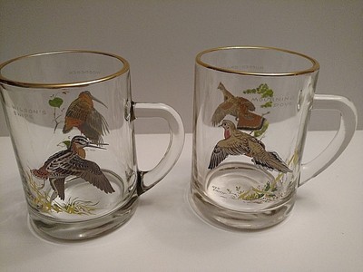 duck hunting glasses
